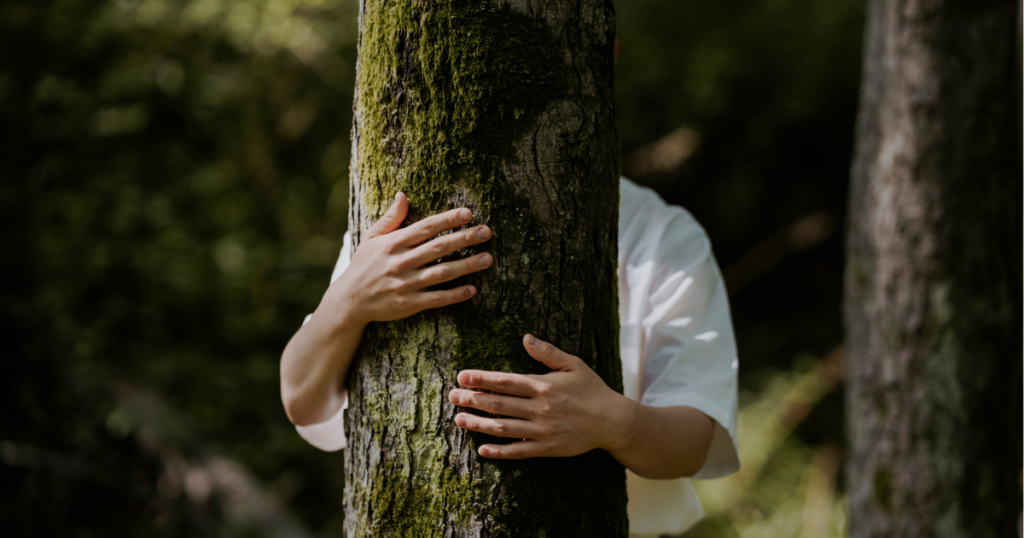 Tree Hugging and Meditation